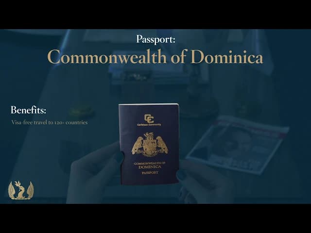 A feature on the experience of using a Commonwealth of Dominica passport obtained through citizenship by investment over four years.