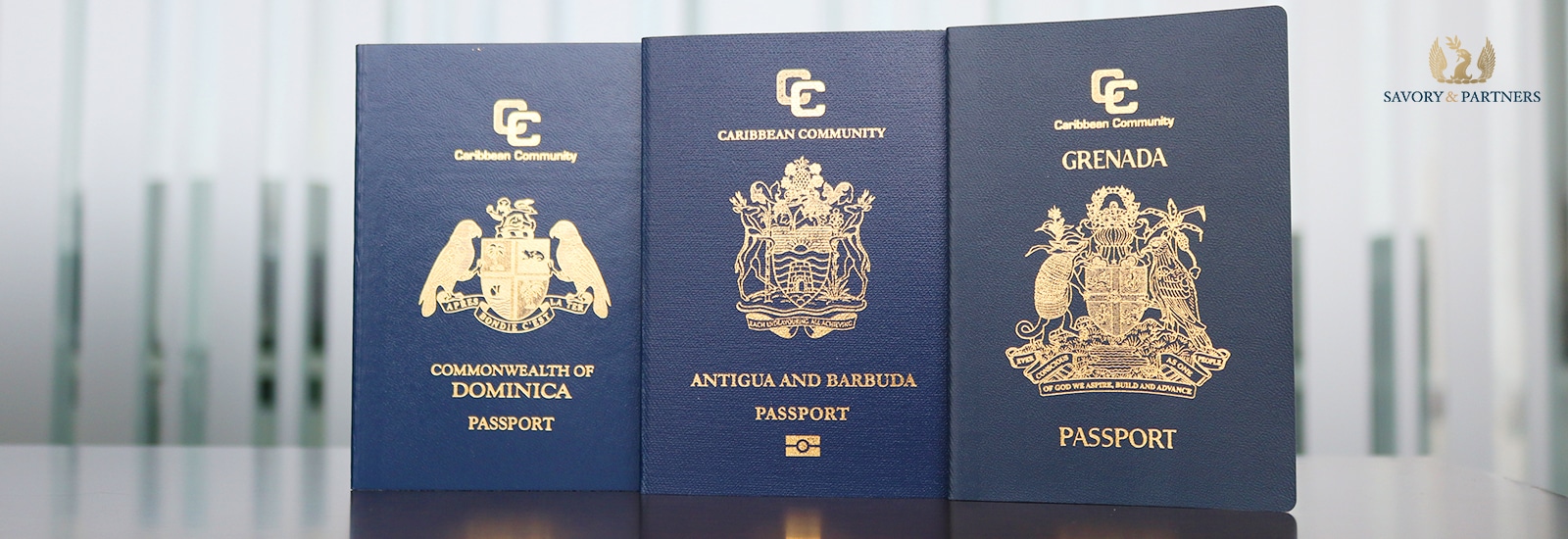 A second passport is the perfect solution for political and economic instability