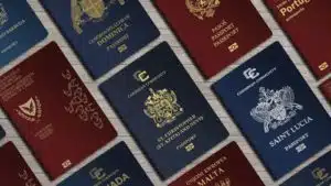 Pros And Cons Of Dual Citizenship and Naturalisation Through Residency